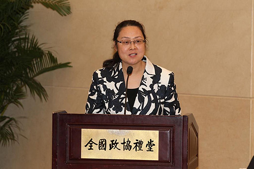 图为费薇副理事长兼秘书长作中国残疾人福利基金会2012年度财务决算和2013年度财务预算报告