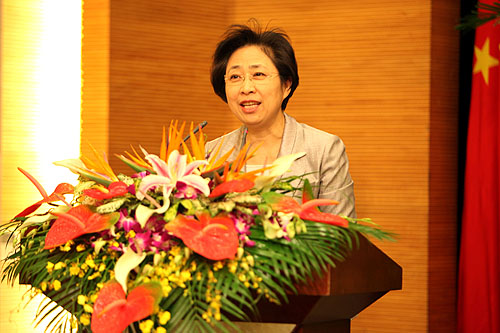 图为中国残联副主席、党组副书记、常务副理事长王乃坤讲话
