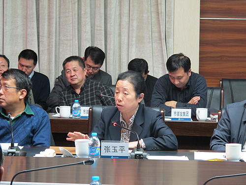 图为北京市政府副秘书长张玉平在项目协调会上讲话
