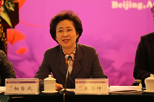 图为中国残联副主席、中国残疾人福利基金会新任理事长王乃坤讲话