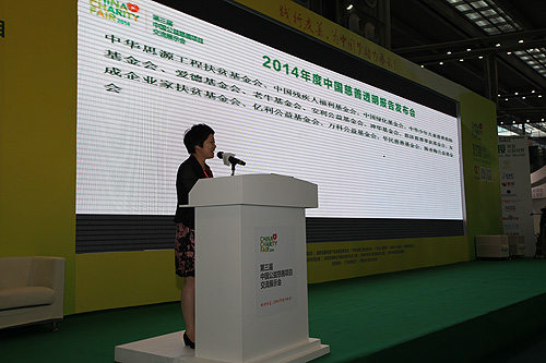 图为中民慈善捐助信息中心主任彭建梅公布获得“2014年度信息披露情况抽样调查卓越组织”名单