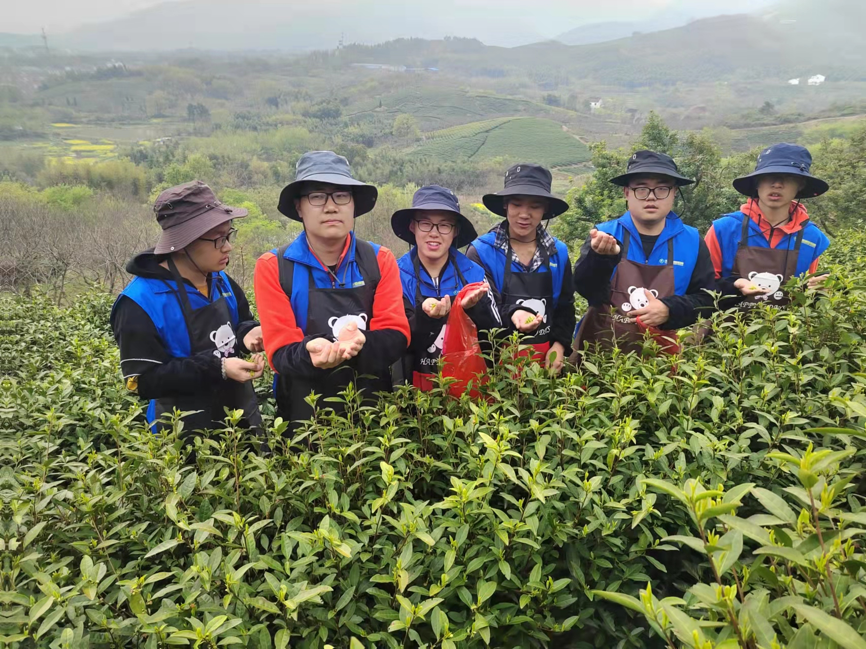 202603261774491817.png 图片1.png