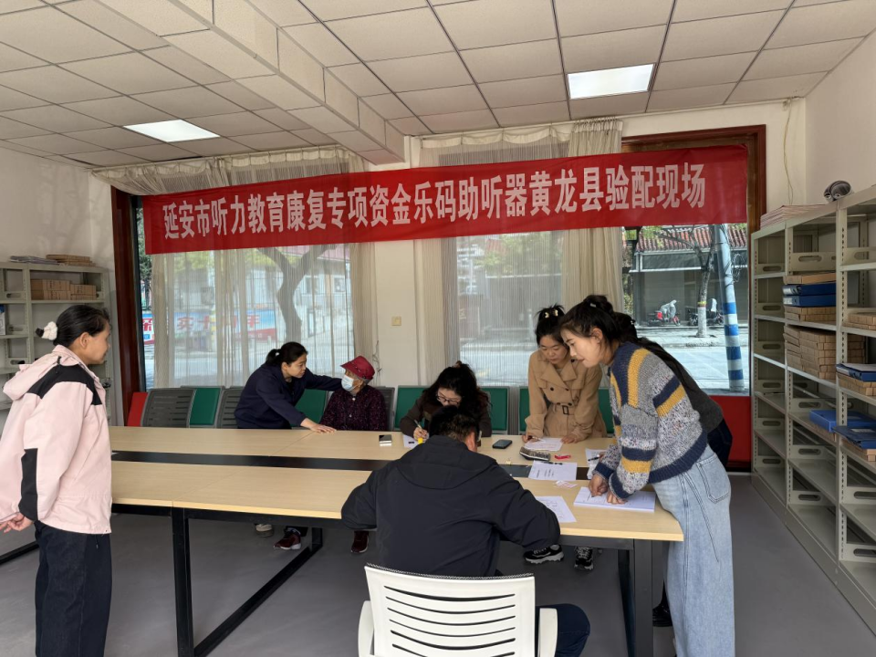 听力教育康复专项资金乐码助听器项目1.png